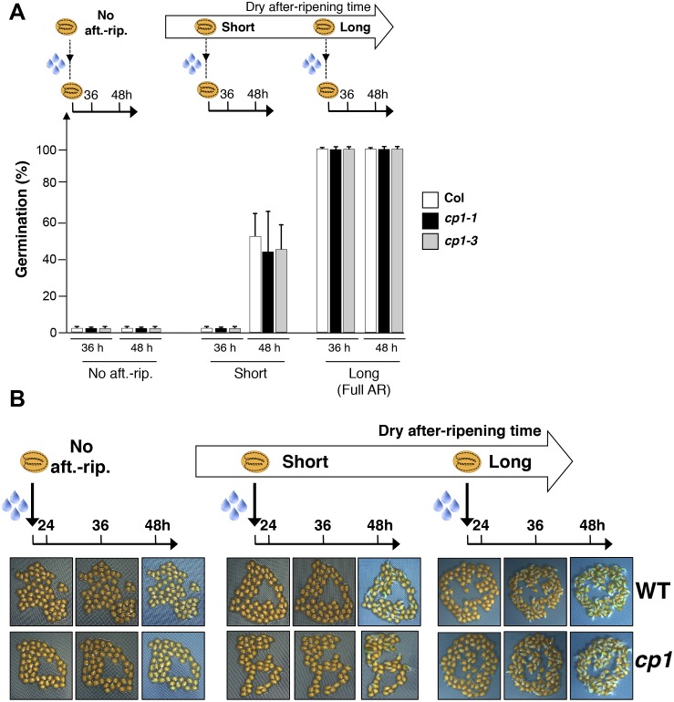 Figure 4—figure supplement 4.