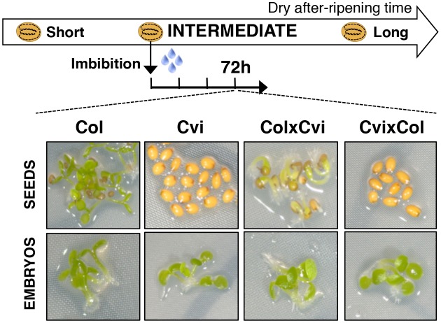 Figure 1—figure supplement 3.