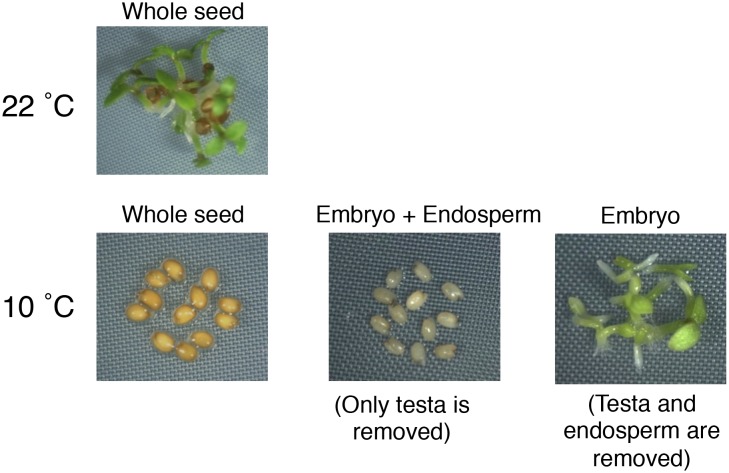 Figure 2—figure supplement 6.