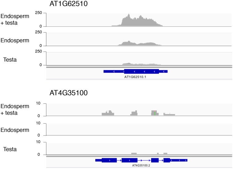 Figure 2—figure supplement 1.