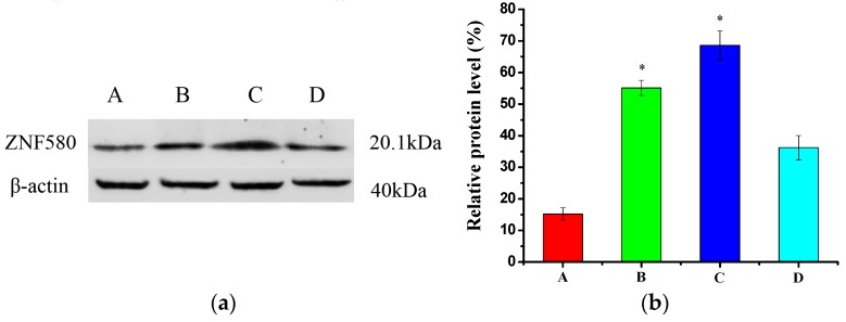 Figure 11