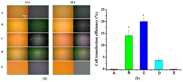 Figure 9