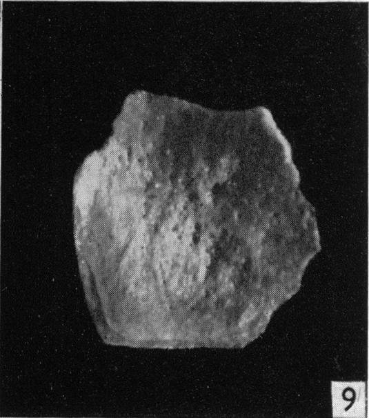 Fig. 9