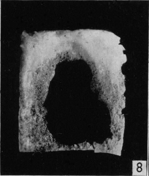 Fig. 8