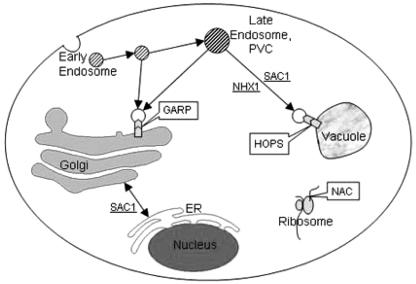 FIG. 7.