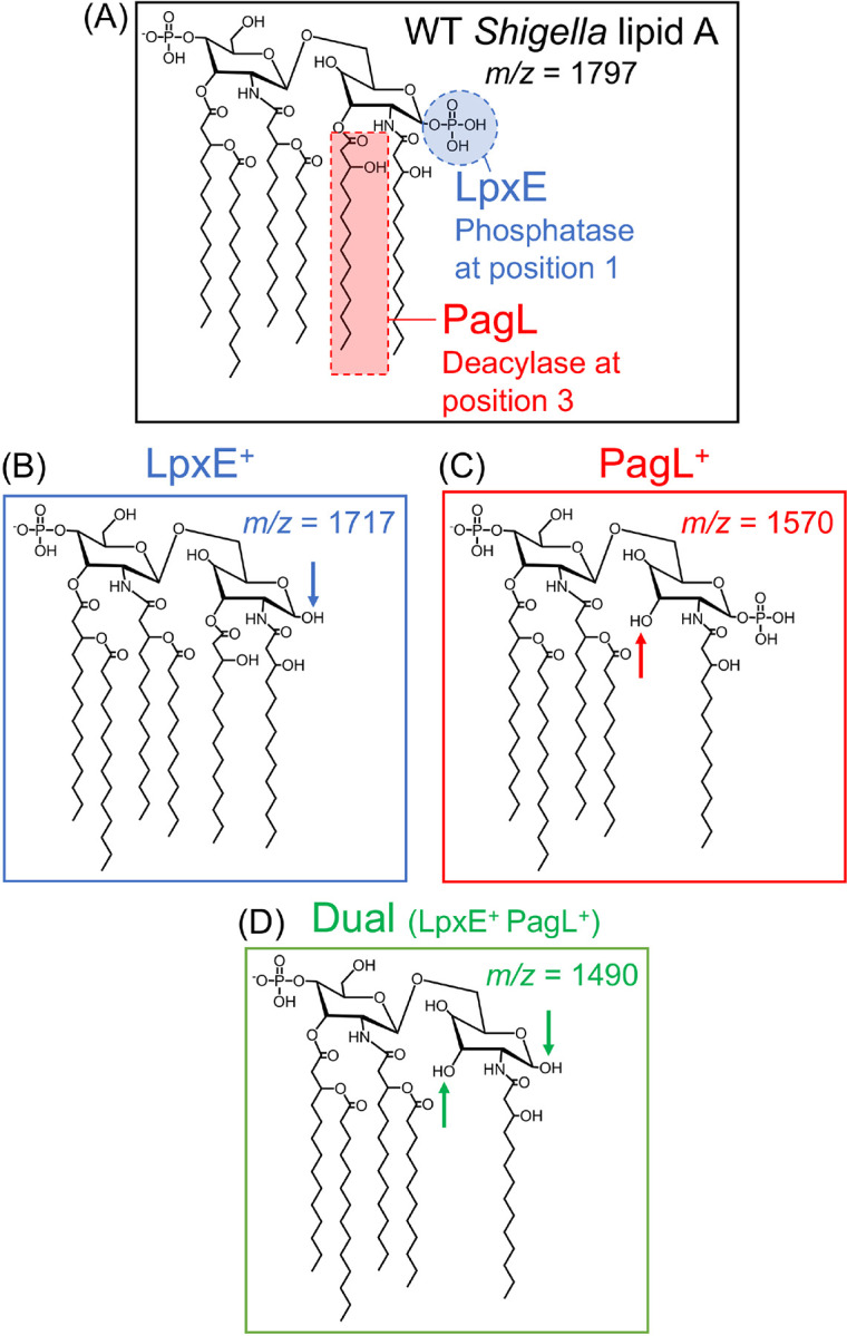 Figure 1: