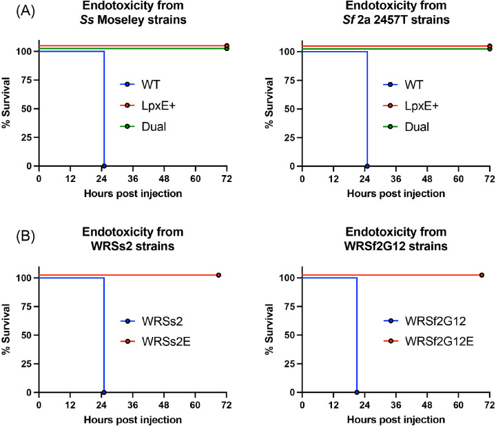 Figure 5: