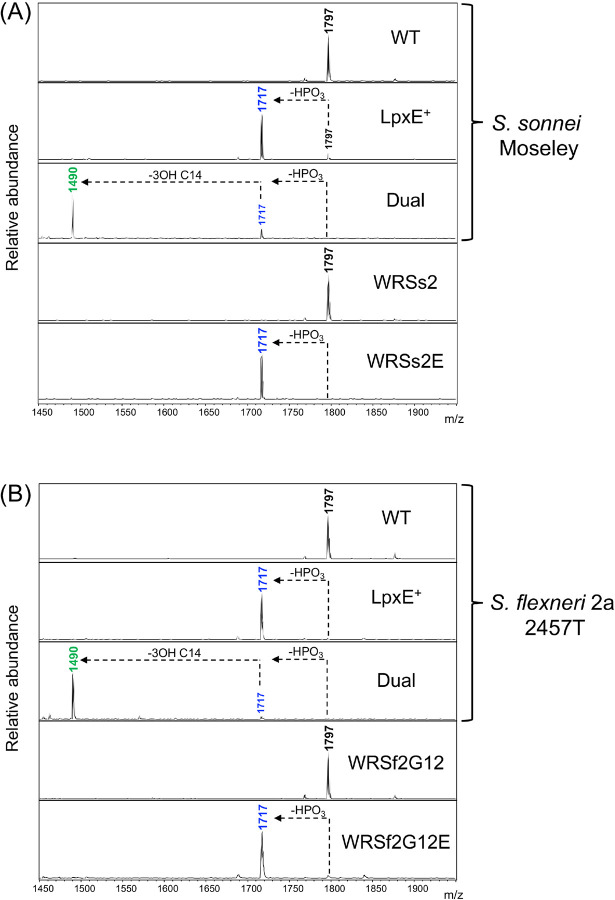 Figure 2: