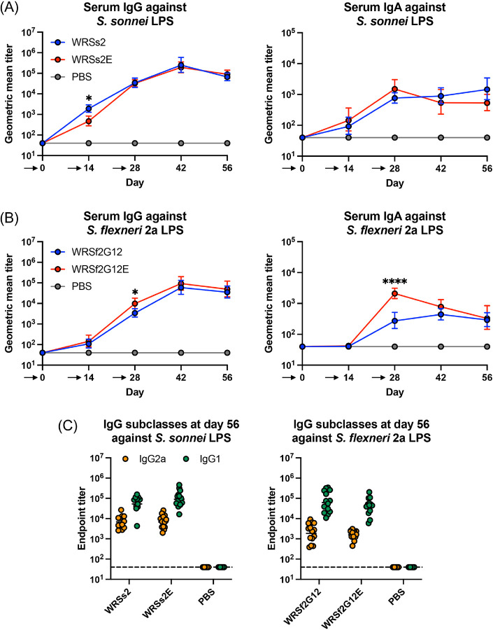 Figure 6: