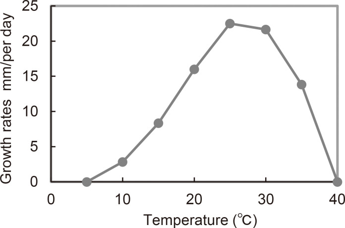 Fig. 3 Mycelial growth rates of Pythium amaminum (NBRC115126) at different temperatures on PCA.