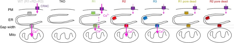 Fig. 7