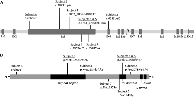 Figure 2