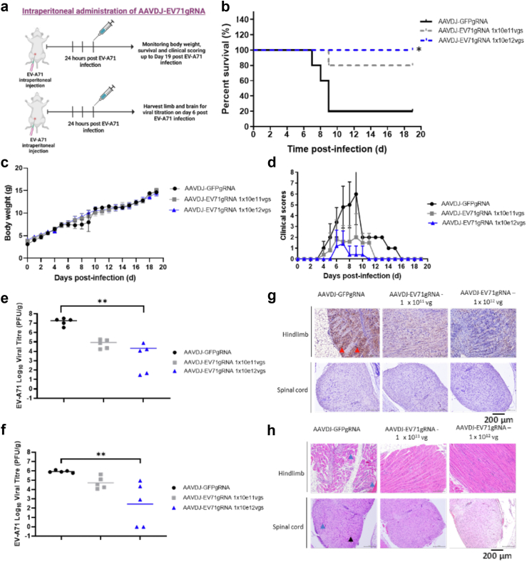 Fig. 4