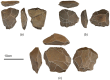 Fig 5