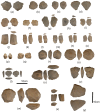 Fig 6
