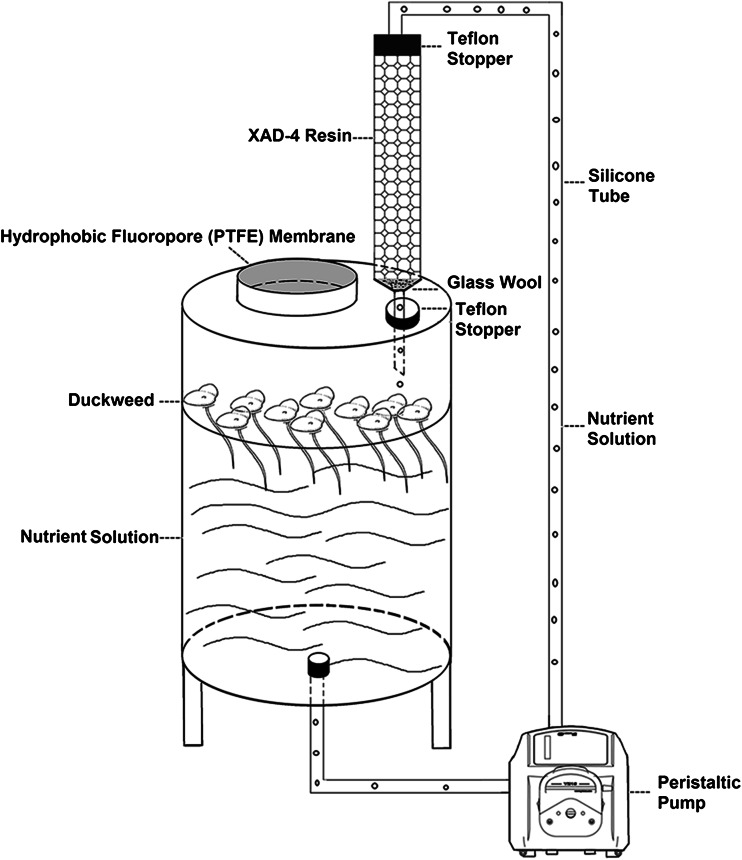 Fig. 1