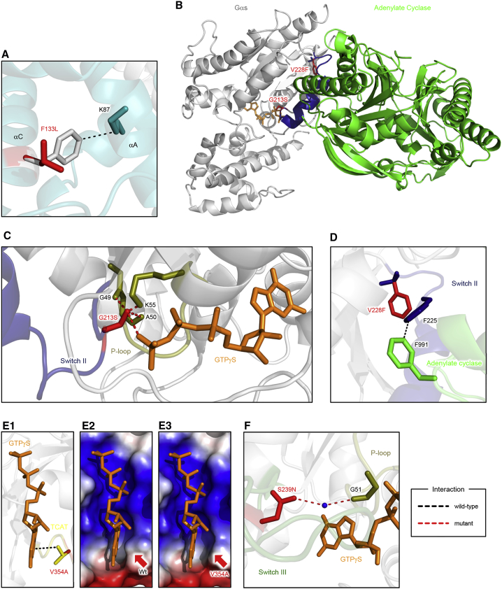 Figure 3