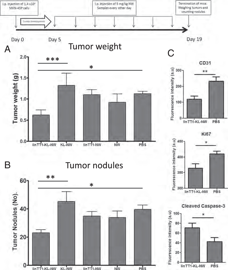 Fig. 8.