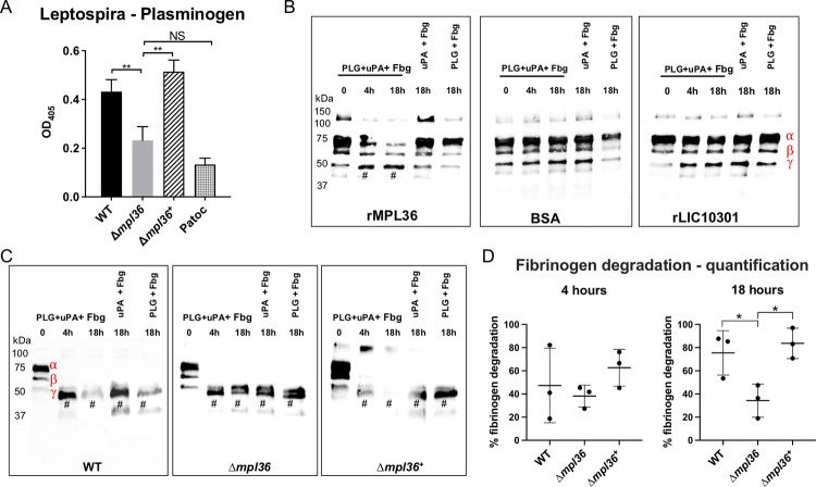 Fig 4