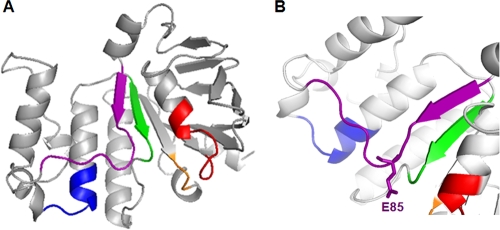 FIG. 8.