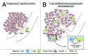 Figure 1.