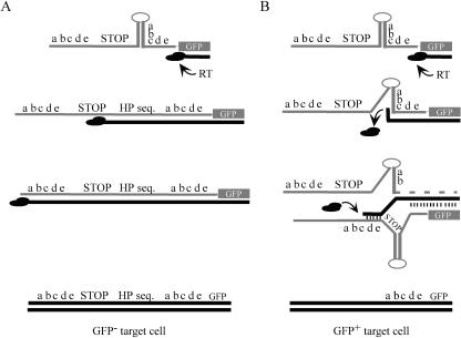 FIG. 2.