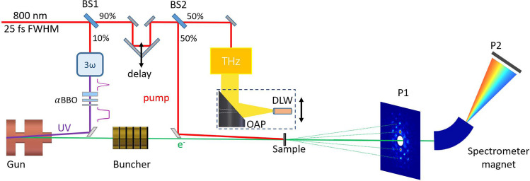 FIG. 2.