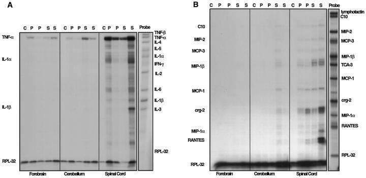 Figure 9.