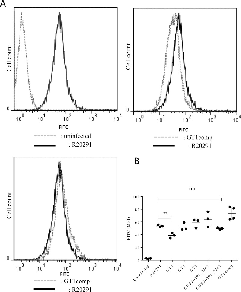 FIGURE 5.