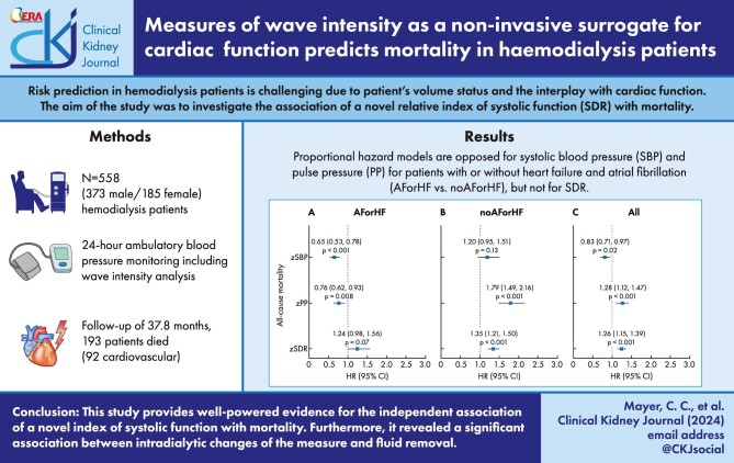 Graphical Abstract