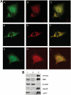 Figure 4.