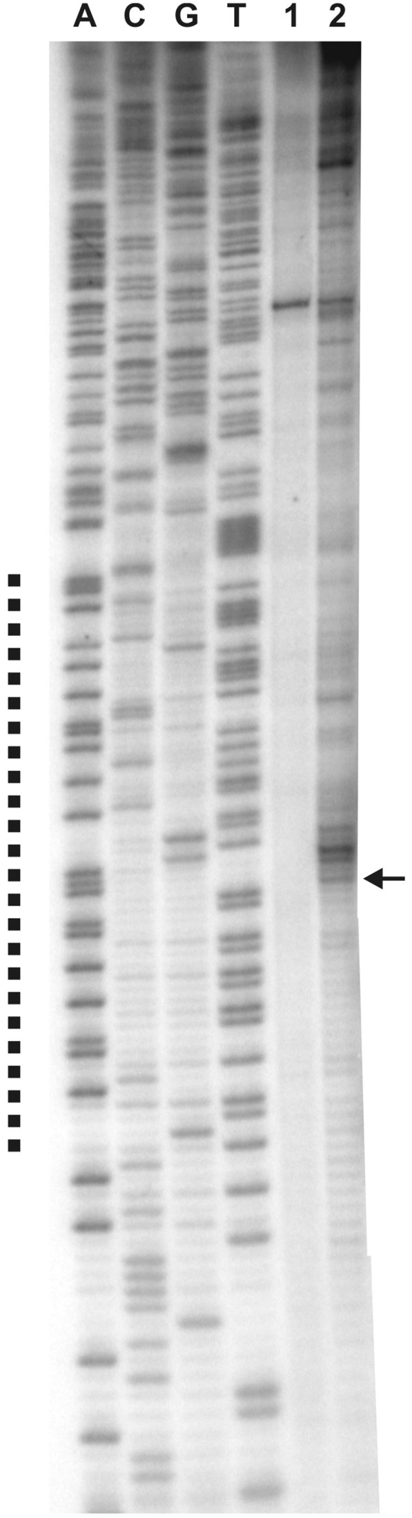 Figure 5.