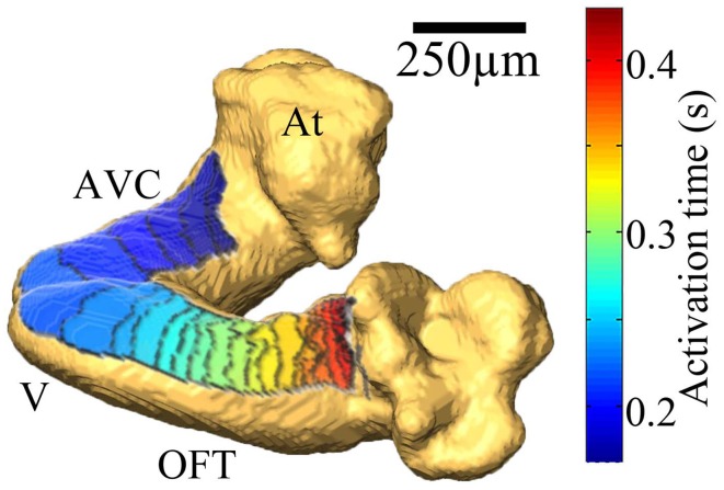 Figure 12