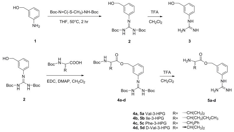 Scheme 3