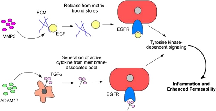 Figure 1 – 