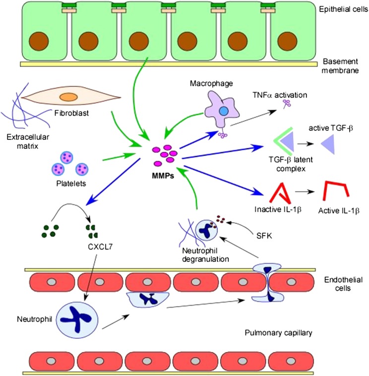 Figure 2 – 