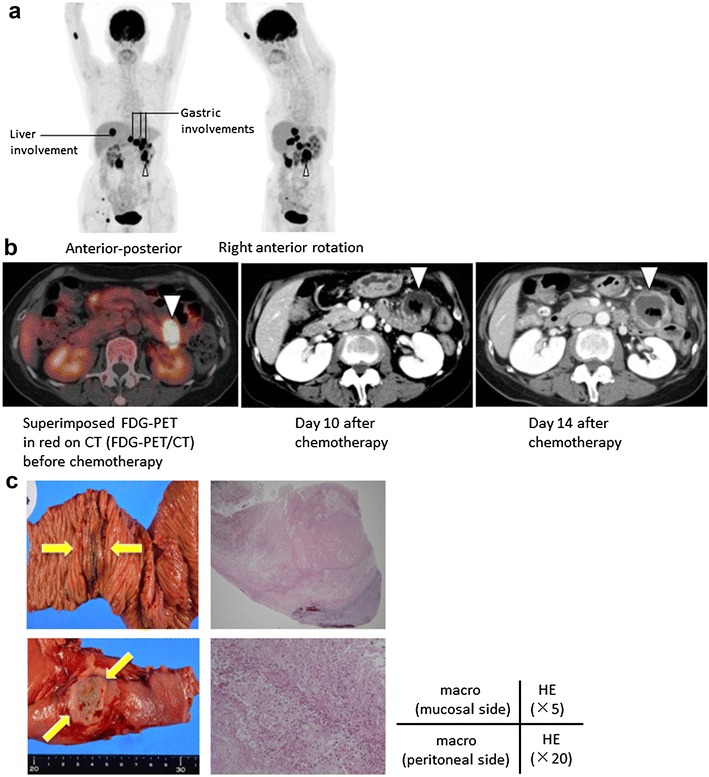 Fig. 3