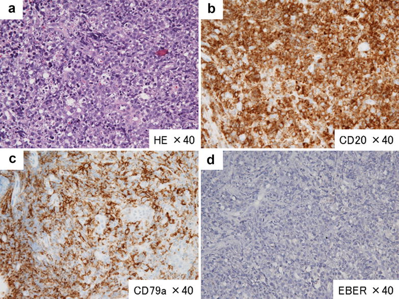 Fig. 2