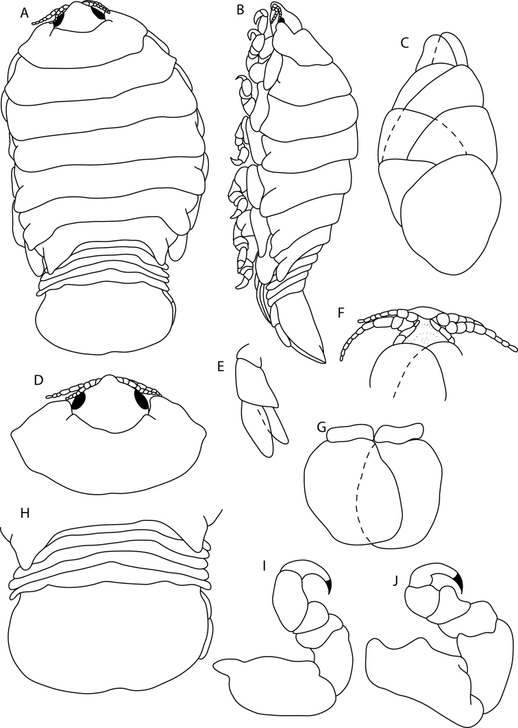 Figure 4.