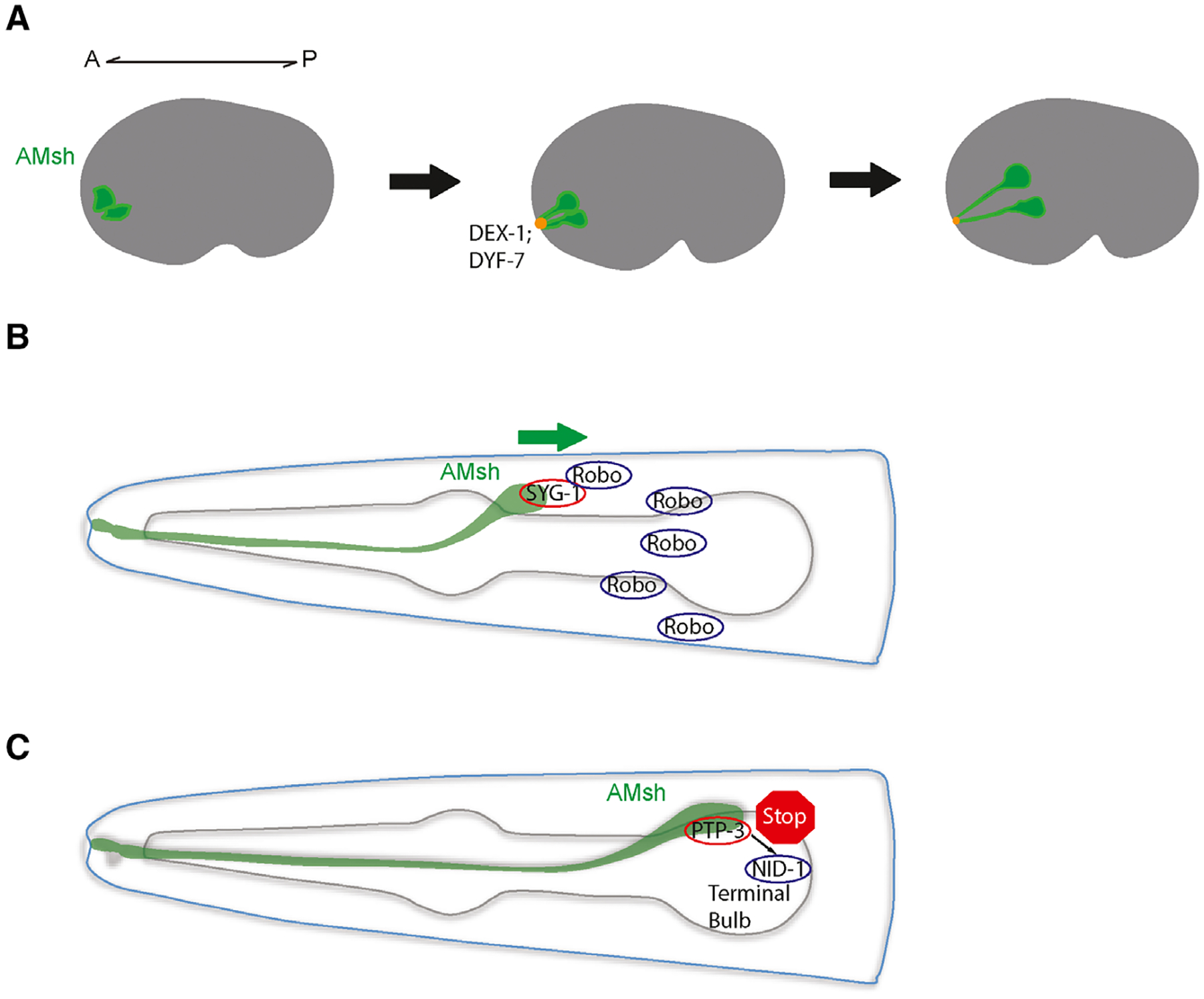 Fig. 3.