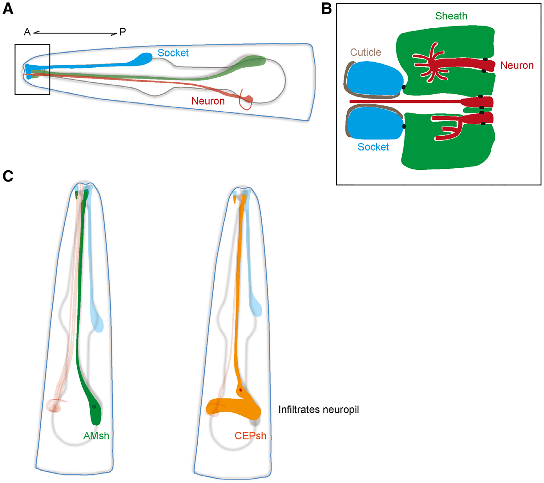 Fig. 1.