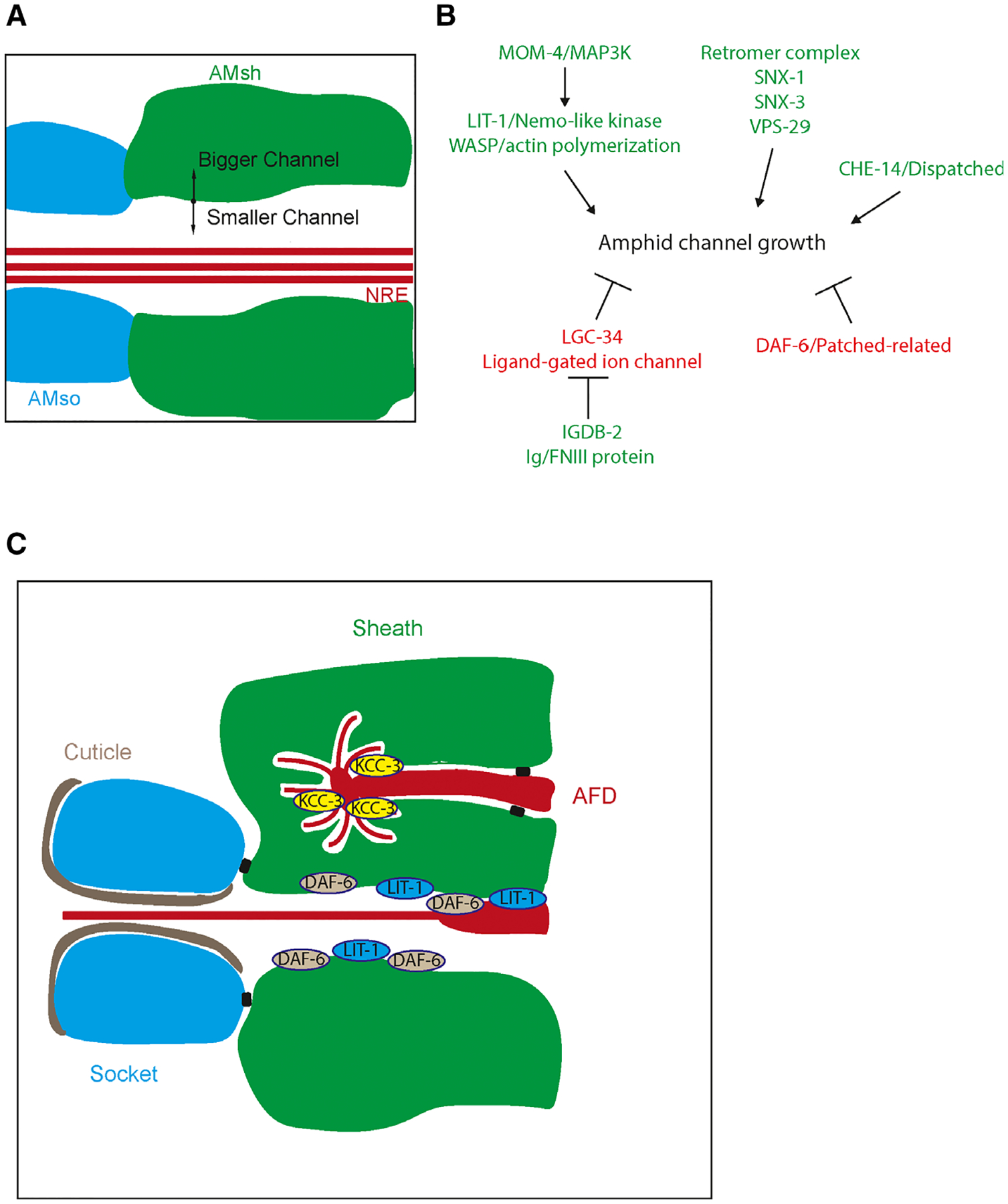 Fig. 2.