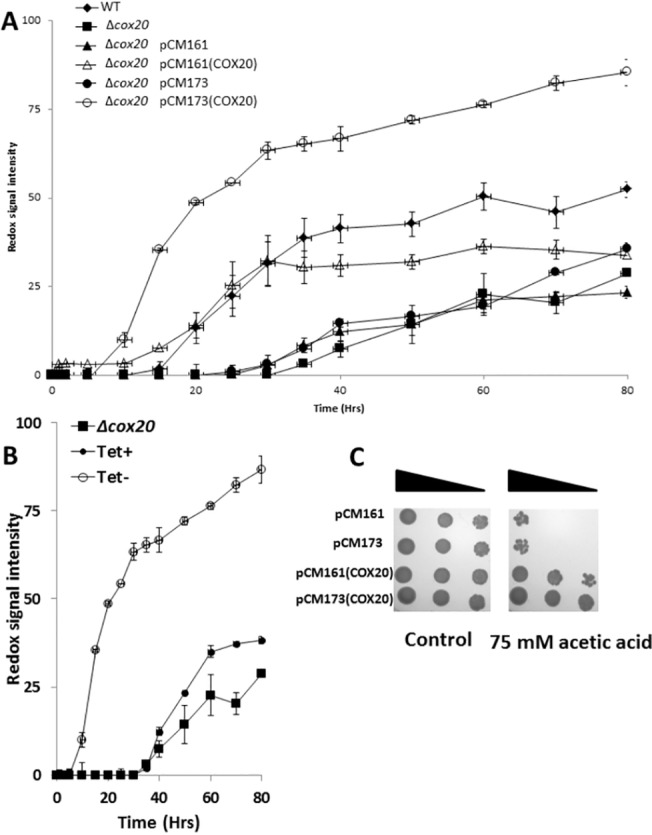 Fig 3