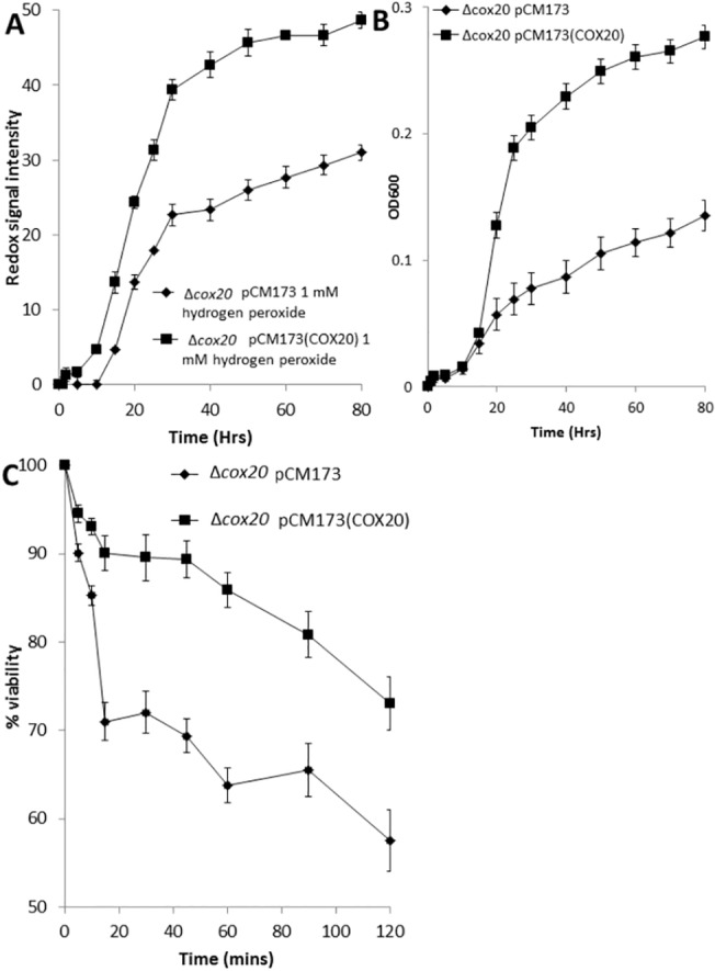 Fig 6