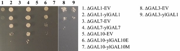 Fig. 3