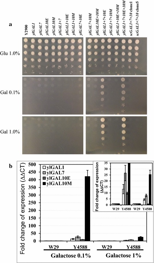 Fig. 6