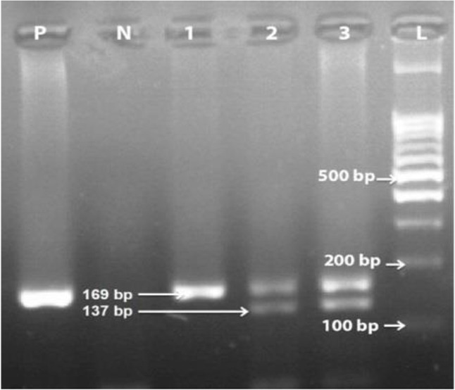 Fig. 1: