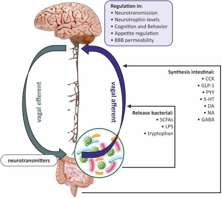 FIGURE 3