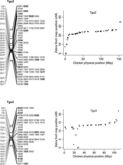 Figure 2.—