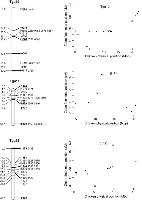 Figure 2.—